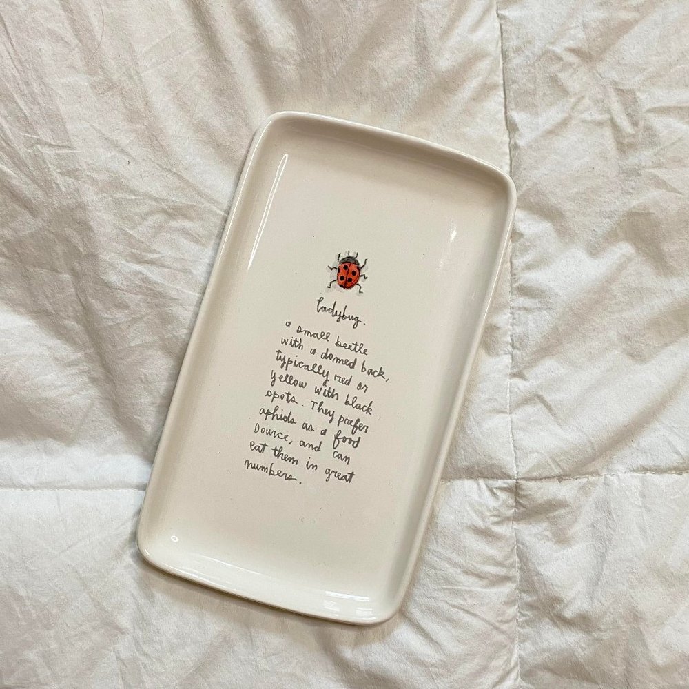 Rae Dunn | Ladybug Plate